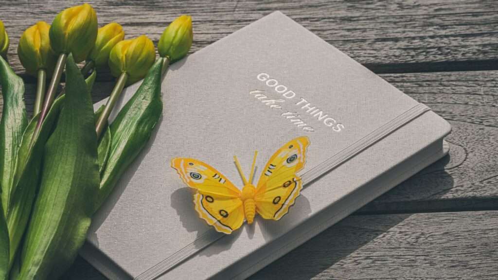 Descobre como um livro chega aos mais vendidos e porque o melhor livro para uma criança nem sempre aparece nos rankings.